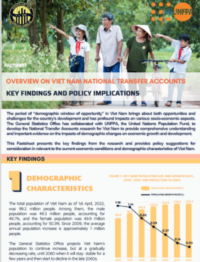  Viet Nam National Transfer Accounts: Key findings and policy implications
