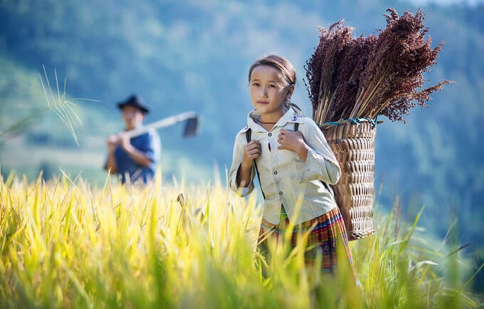 UNFPA Vietnam | KẾT QUẢ TỔNG ĐIỀU TRA DÂN SỐ VÀ NHÀ Ở NĂM 2019