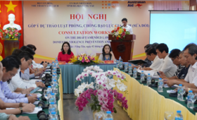 Consultative meeting in Vung Tau, Viet Nam