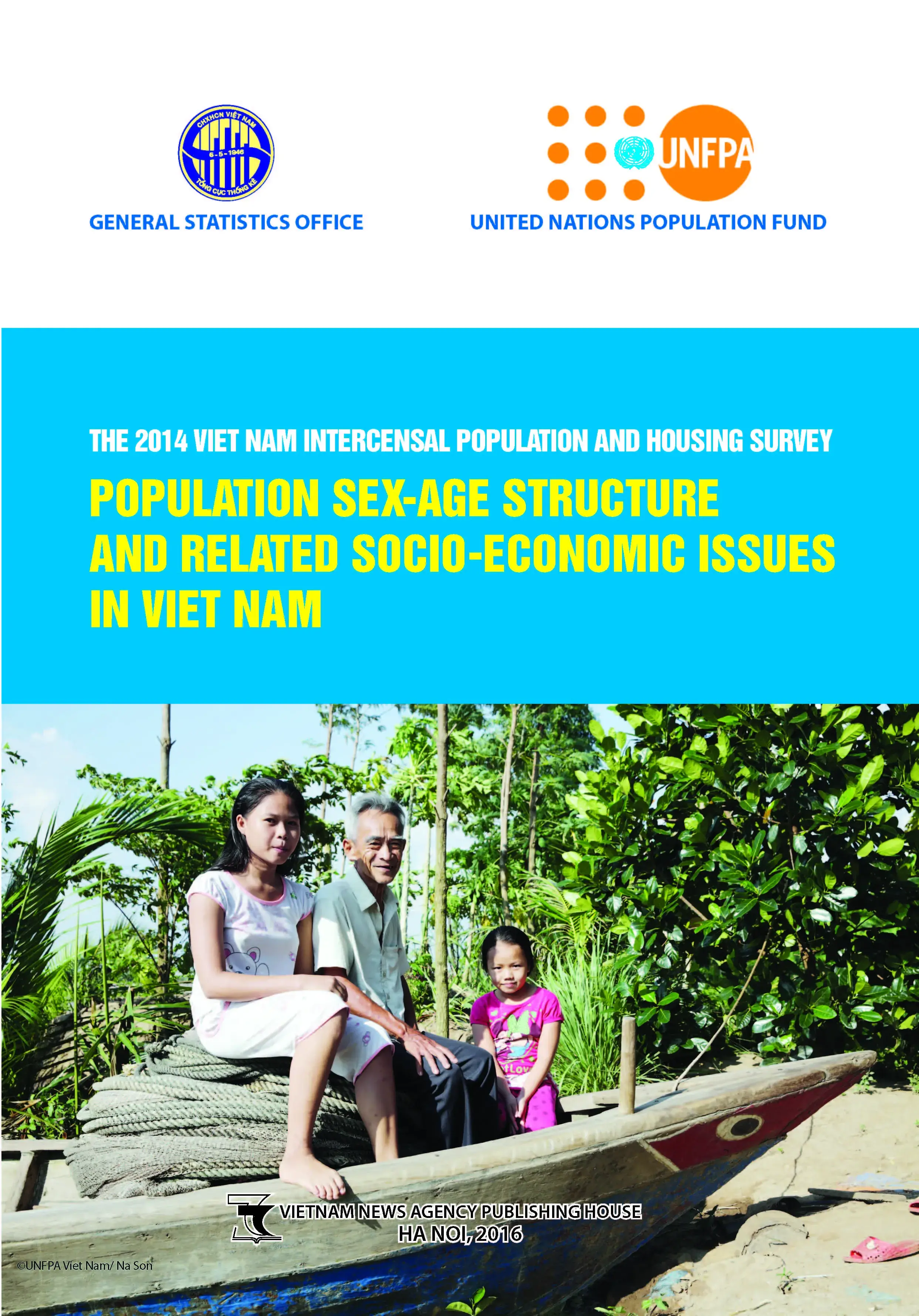 Population sex-age structure and related socio-economic issues in Viet Nam