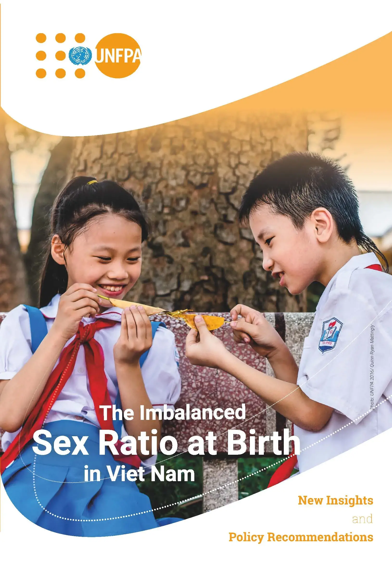 The imbalanced Sex Ratio at Birth in Viet Nam: New insights and policy recommendations