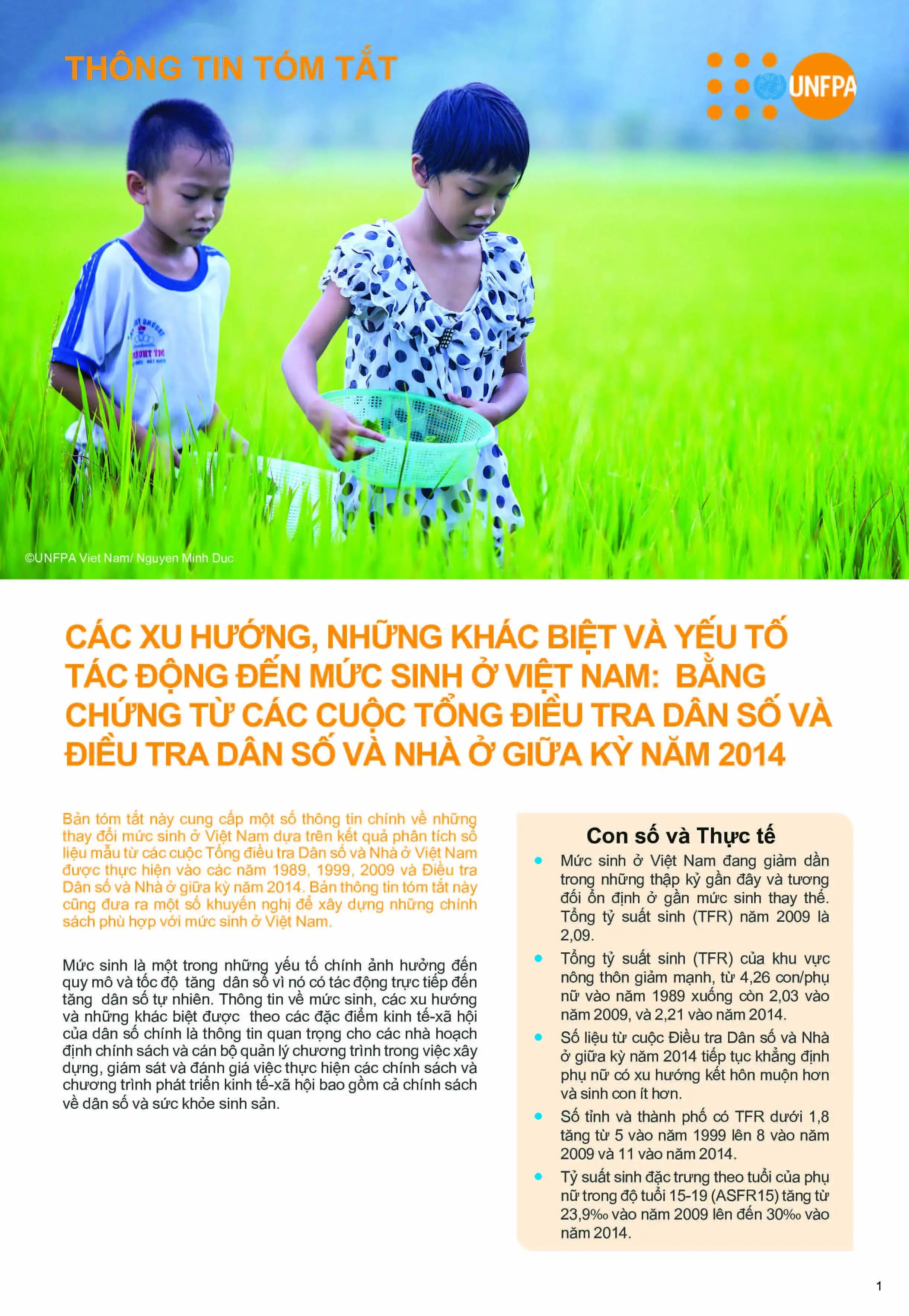 Các xu hướng, những khác biệt và yếu tố tác động đến mức sinh ở Việt Nam: Bằng chứng từ các cuộc tổng điều tra dân số và điều tra dân số và nhà ở giữa kỳ 2014