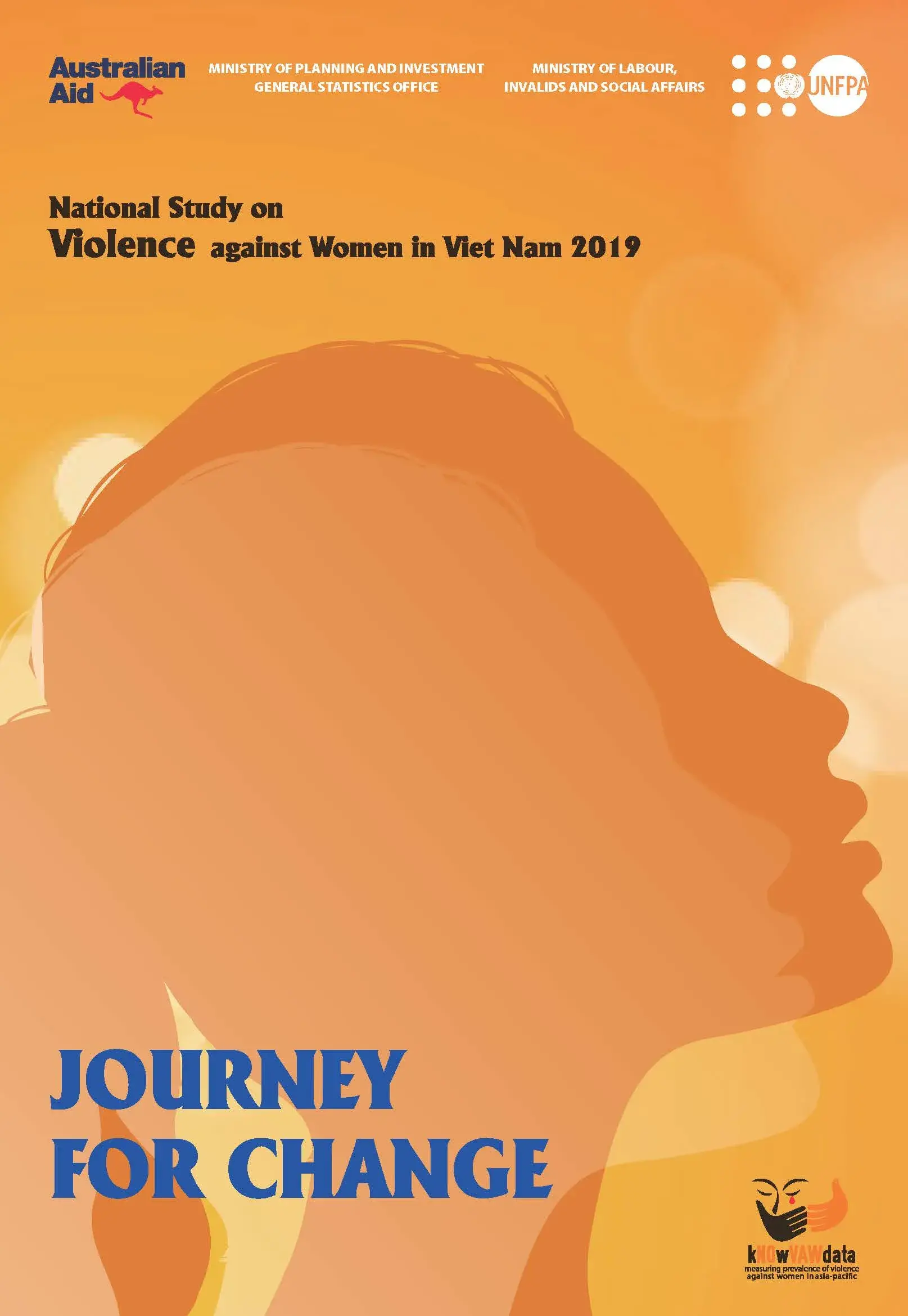 National study on Violence against Women in Viet Nam in 2019