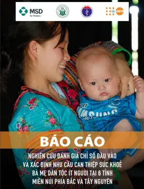 NGHIÊN CỨU ĐÁNH GIÁ CHỈ SỐ ĐẦU VÀO VÀ XÁC ĐỊNH NHU CẦU CAN THIỆP SỨC KHOẺ BÀ MẸ DÂN TỘC ÍT NGƯỜI TẠI 6 TỈNH MIỀN NÚI PHÍA BẮC VÀ TÂY NGUYÊN