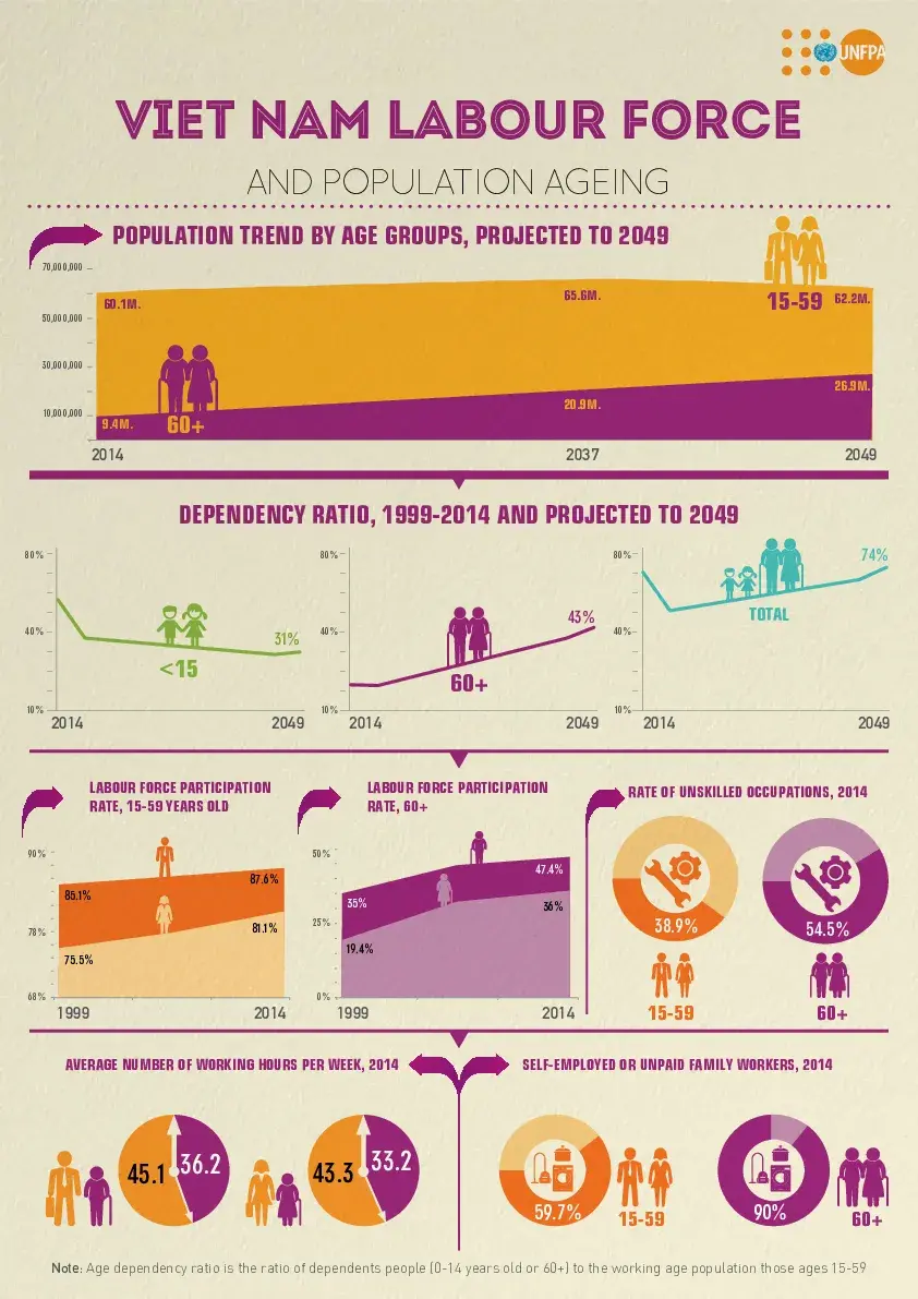 Viet Nam Labour Force and Population Ageing