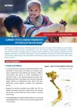 Factsheet "Current status and determinants of fertility in Viet Nam"