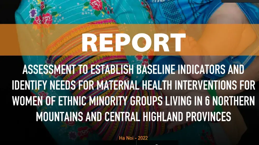 Assessment to establish baseline indicators and identify needs for maternal health interventions for women of ethnic minority groups living in 6 Northern mountains and Centrail Highland provinces 