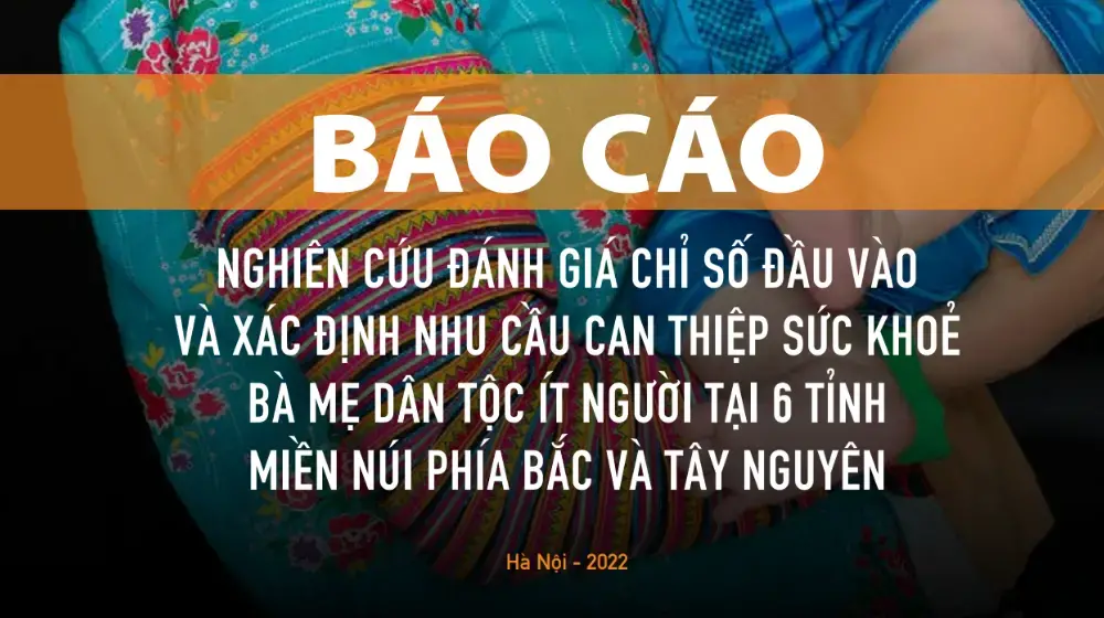 NGHIÊN CỨU ĐÁNH GIÁ CHỈ SỐ ĐẦU VÀO VÀ XÁC ĐỊNH NHU CẦU CAN THIỆP SỨC KHOẺ BÀ MẸ DÂN TỘC ÍT NGƯỜI TẠI 6 TỈNH MIỀN NÚI PHÍA BẮC VÀ TÂY NGUYÊN